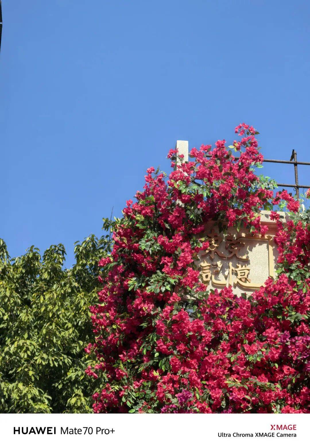 用镜头漫游莞城以新视角发现城市的“隐藏惊喜”瓦力游戏app老